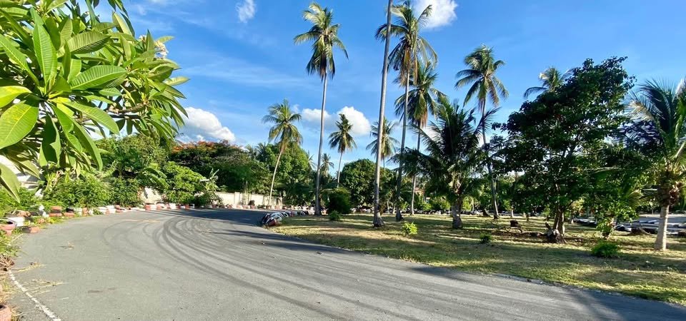 8 Rai Prime Land in Bophut, Walking Distance to the Beach
