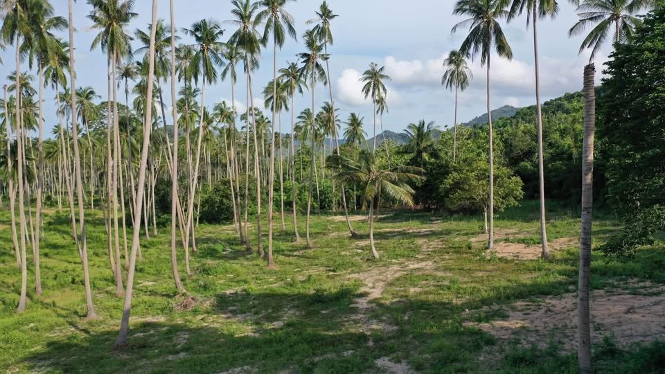 Serene Land Maenam 5 with Koh Phangan View