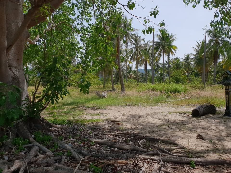 Majestic Beachfront Land in Maenam Near Pralarn Pier
