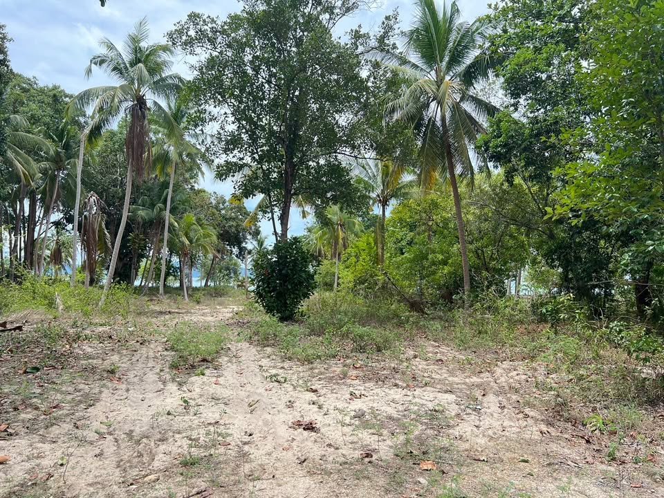 Majestic Beachfront Land in Maenam Near Pralarn Pier