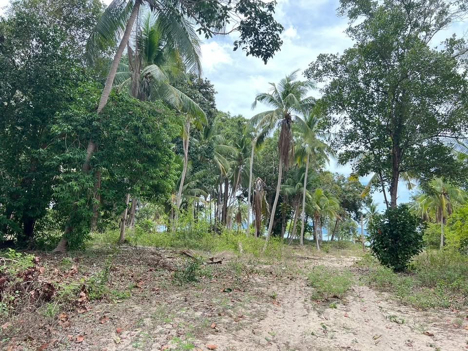 Majestic Beachfront Land in Maenam Near Pralarn Pier