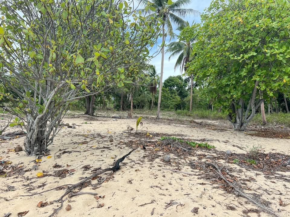 Majestic Beachfront Land in Maenam Near Pralarn Pier