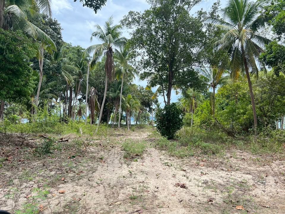 Majestic Beachfront Land in Maenam Near Pralarn Pier