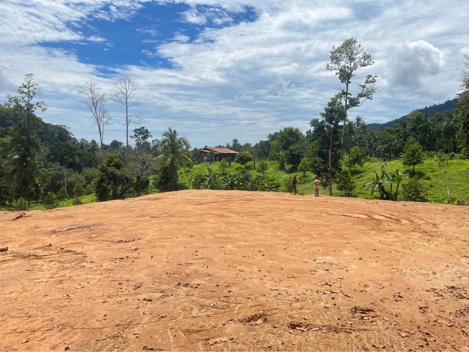 Ready to Build Flat Land Plots for Construction, Lamai