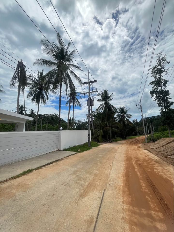710594954_1881335442564321_6387970404580359250_n Ready to Build Flat Land Plots for Construction, Lamai