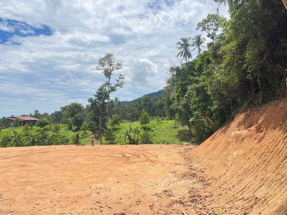 Ready to Build Flat Land Plots for Construction, Lamai