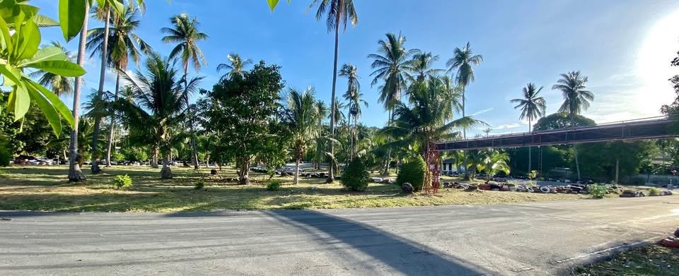 8 Rai Prime Land in Bophut, Walking Distance to the Beach
