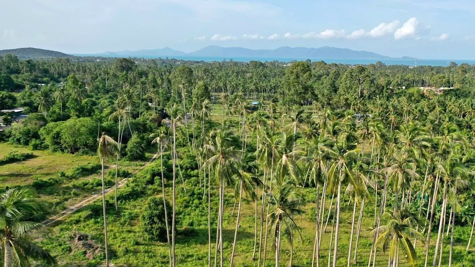 Serene Land Maenam 5 with Koh Phangan View