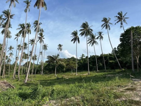 Serene Land Maenam 5 with Koh Phangan View