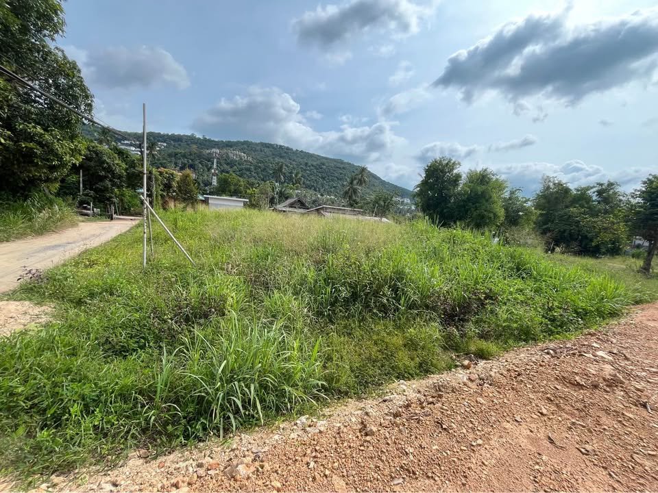 Close to 1 Rai Last Plot Near Bang Por Beach