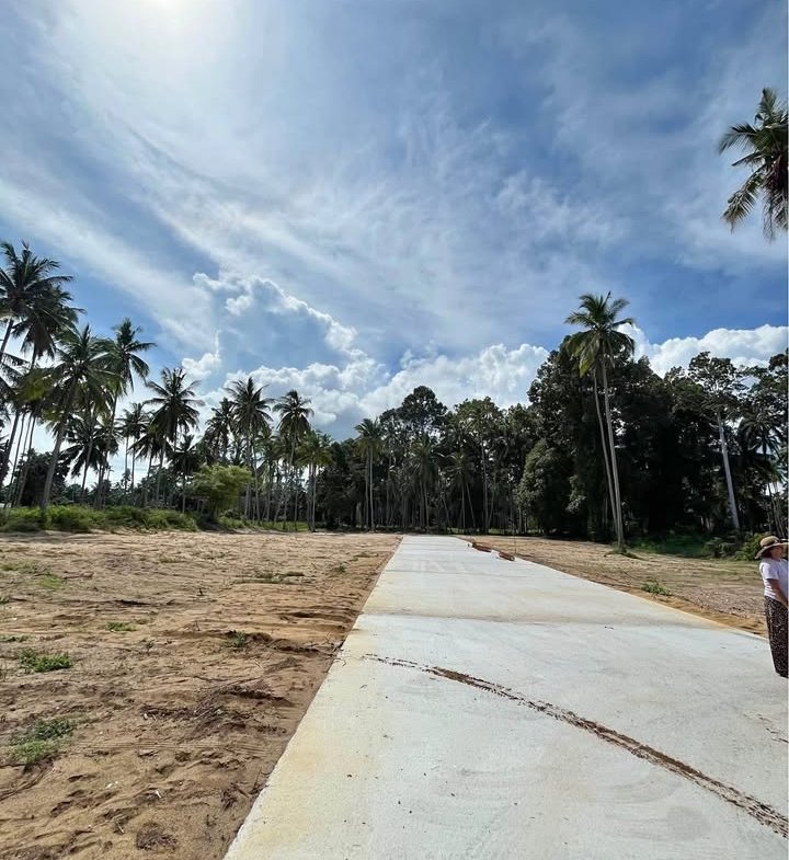 Exclusive Near-Beach Land Plots, Laem Sor
