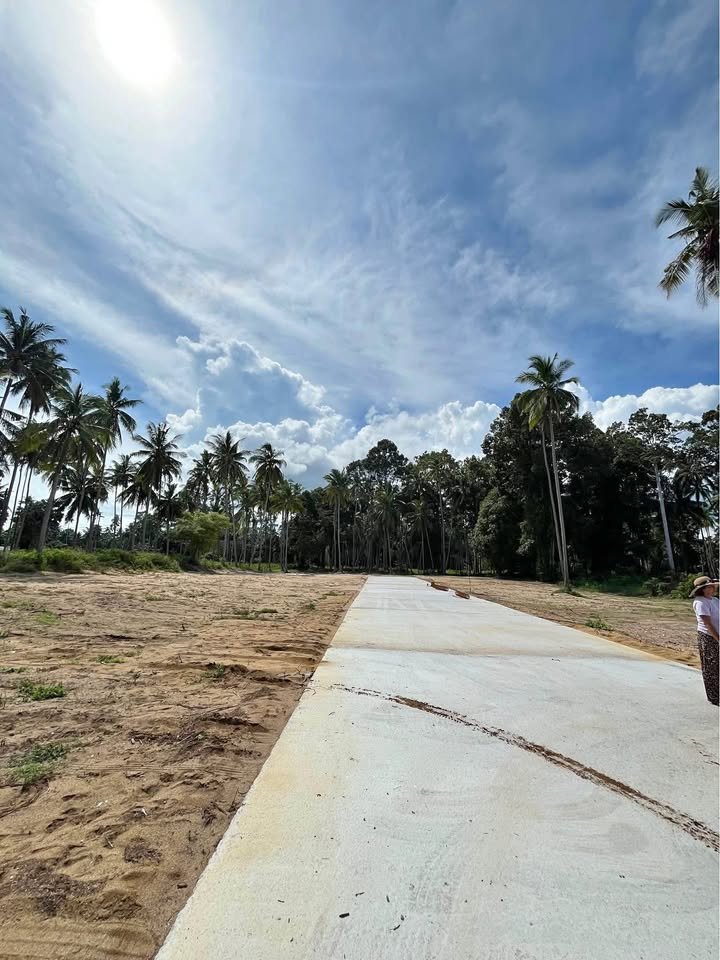 718953102_1444081157407736_7368863515680952996_n Exclusive Near-Beach Land Plots, Laem Sor