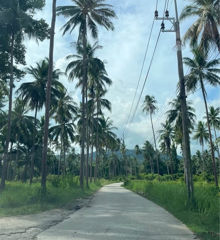 Exclusive Near-Beach Land Plots, Laem Sor