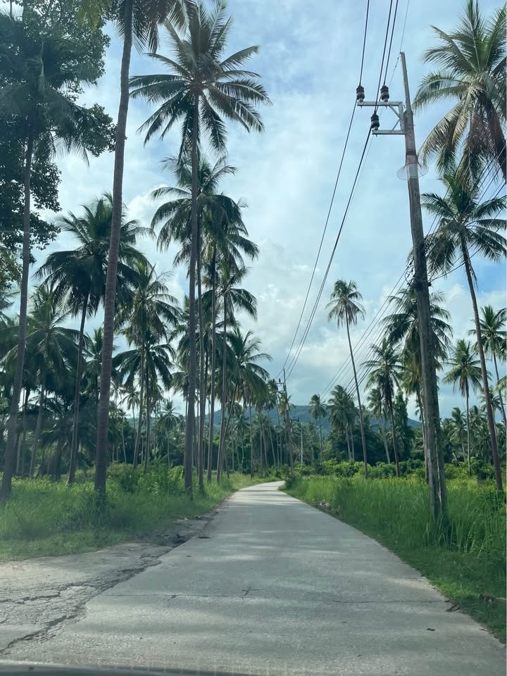 719209215_1513360940168825_6860220054532616159_n Exclusive Near-Beach Land Plots, Laem Sor