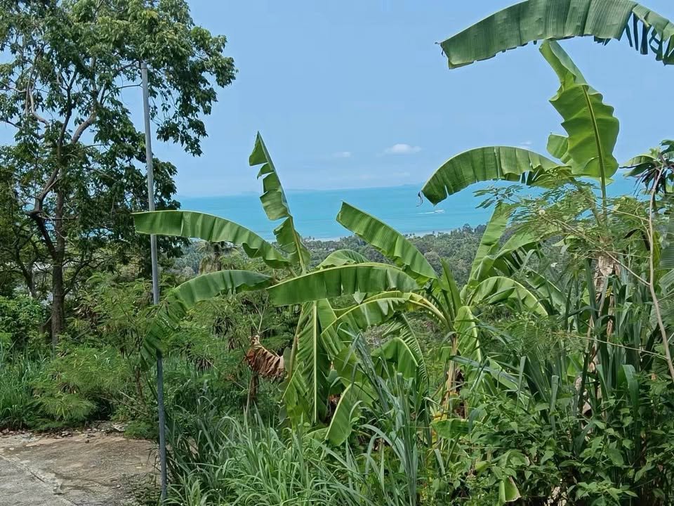 Large Seaview Land in Ang Thong, 13-2-12 Rai