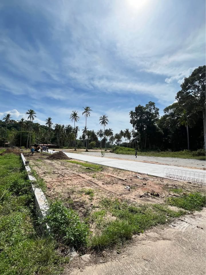 719565220_1536036681596000_2660370548120409910_n Exclusive Near-Beach Land Plots, Laem Sor