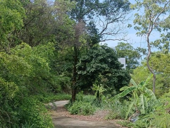Large Seaview Land in Ang Thong, 13-2-12 Rai