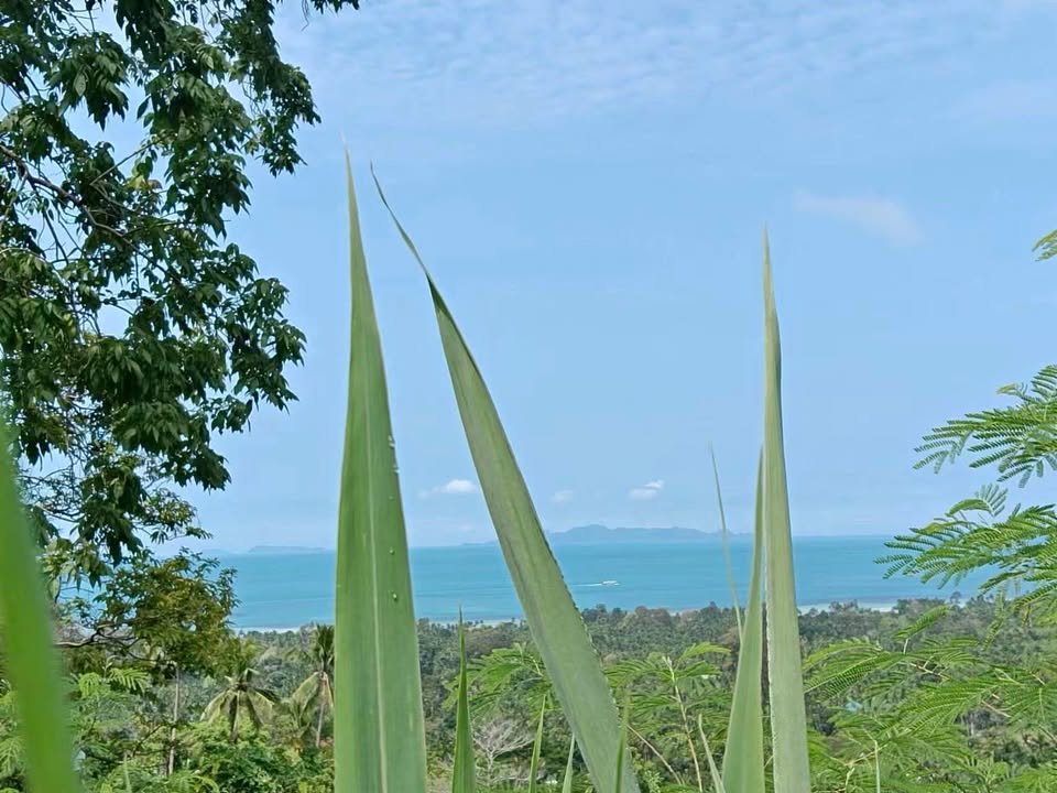 Large Seaview Land in Ang Thong, 13-2-12 Rai