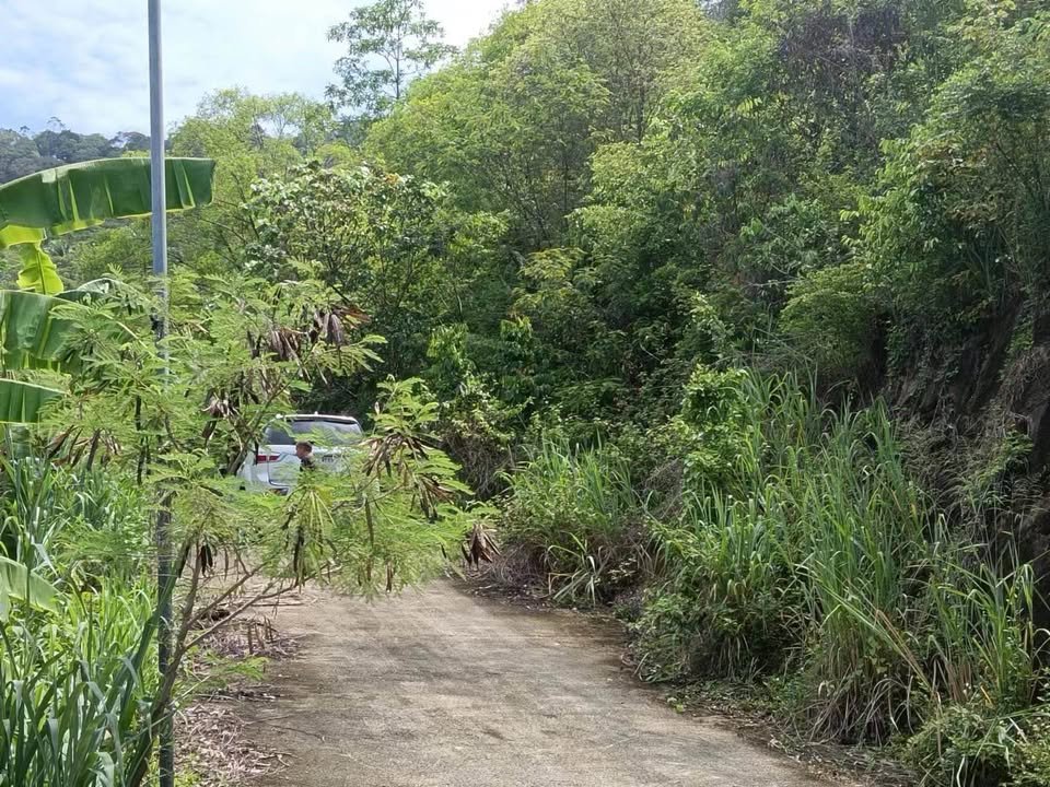 Large Seaview Land in Ang Thong, 13-2-12 Rai