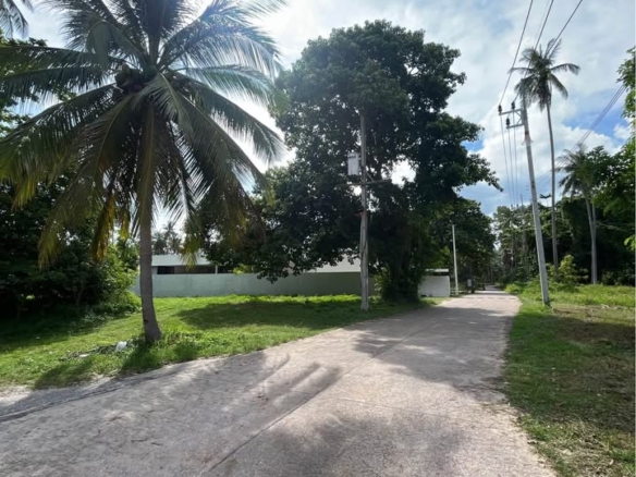 Exclusive Near-Beach Land Plots, Laem Sor