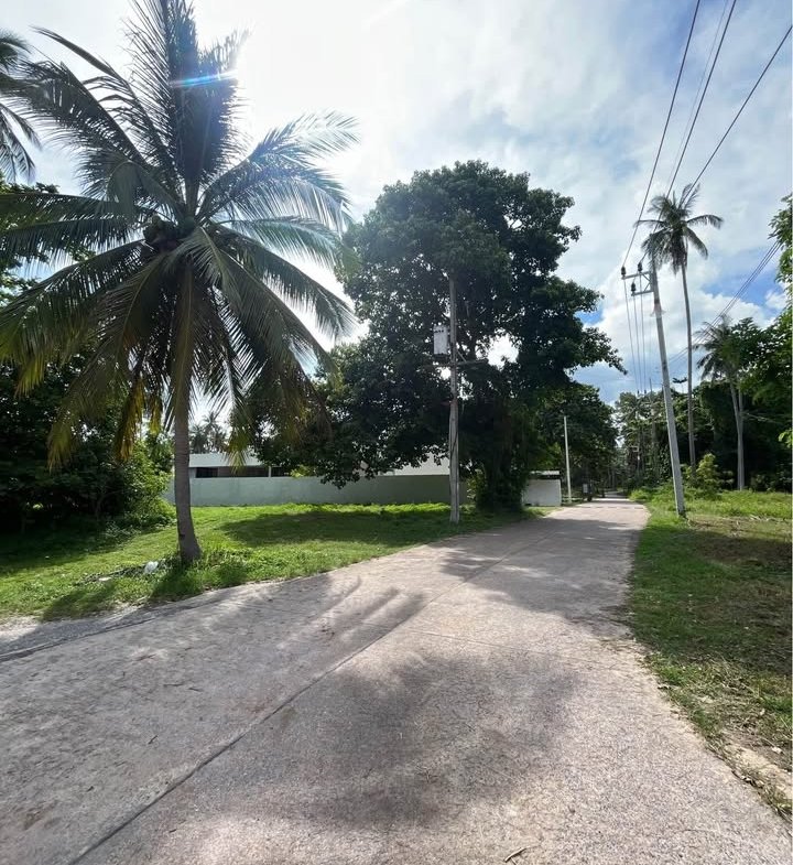 Exclusive Near-Beach Land Plots, Laem Sor