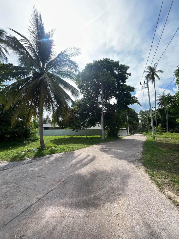 720226648_36772413932343754_7468774812611559932_n Exclusive Near-Beach Land Plots, Laem Sor