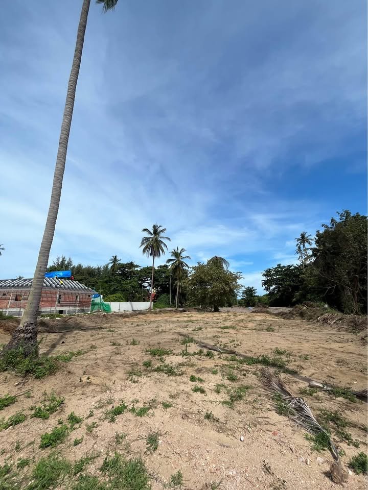 720386711_998988296171289_5464179469269181268_n Exclusive Near-Beach Land Plots, Laem Sor
