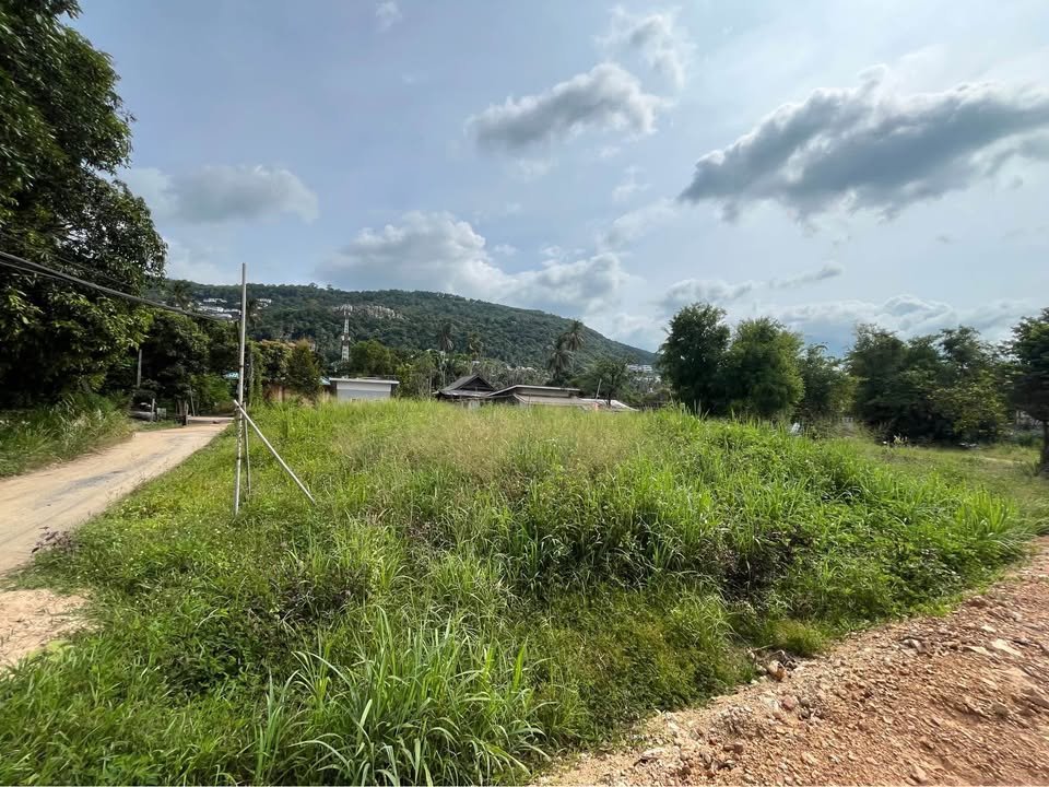 Close to 1 Rai Last Plot Near Bang Por Beach