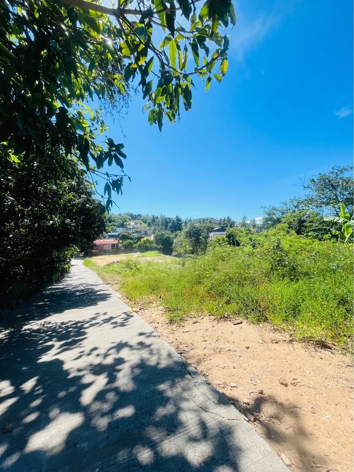730949001_980141418347623_1362267391603899982_n Prime Sea View Land, Plai Laem and Choeng Mon