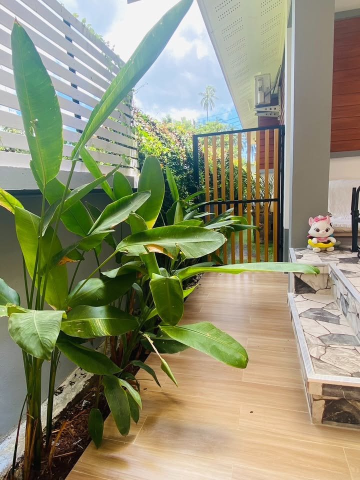 Cozy 1 Bedroom Apartment, Maenam