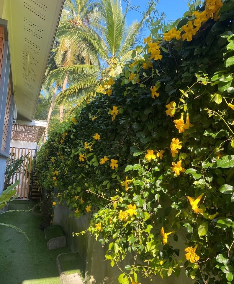Cozy 1 Bedroom Apartment, Maenam