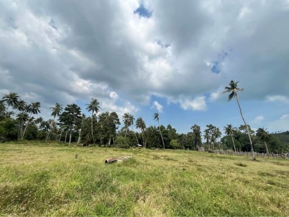 Last 500 SqM Flat Building Land, Maenam Soi 1