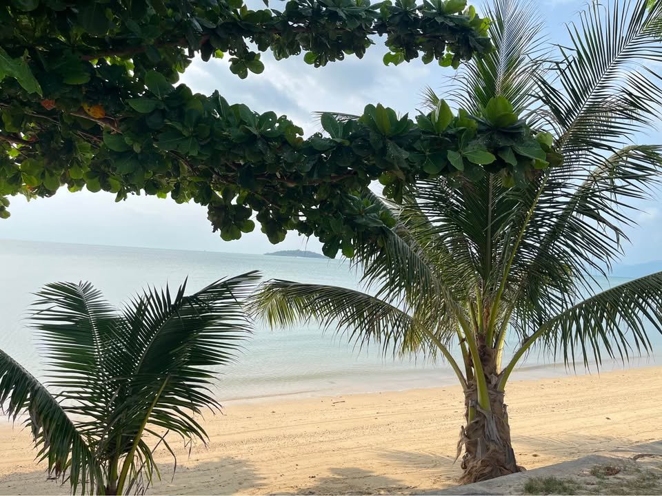 Oceanfront Villa Noah, 1 Bedroom, Plai Laem Soi 5