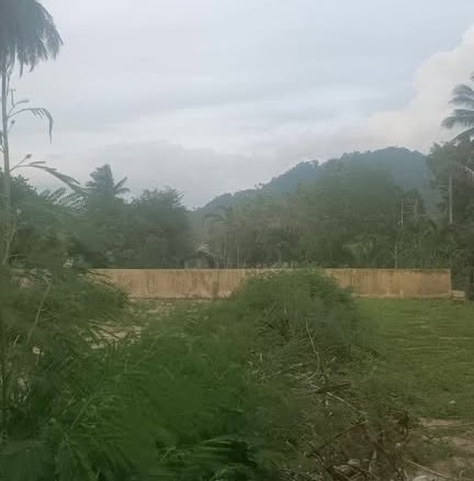 Last Special Beachfront Plot, Lipa Noi