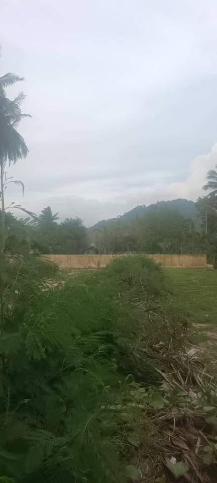 Last Special Beachfront Plot, Lipa Noi