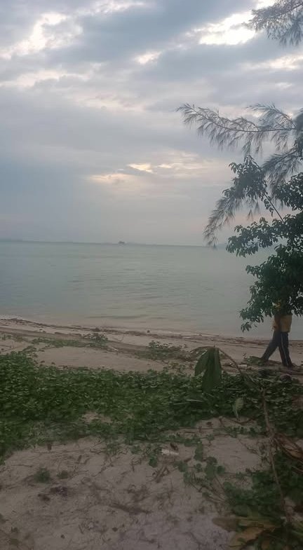 Last Special Beachfront Plot, Lipa Noi