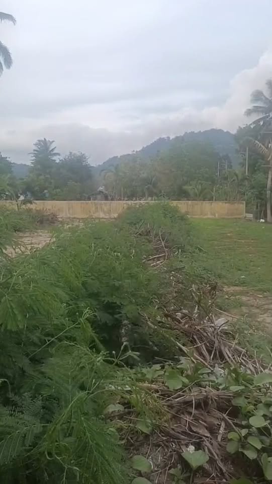 Last Special Beachfront Plot, Lipa Noi