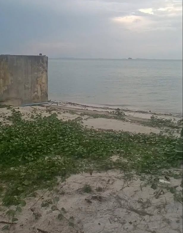 Last Special Beachfront Plot, Lipa Noi