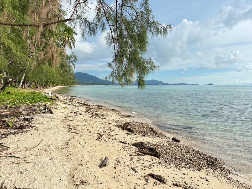 Special Beachfront Land, Bang Kao