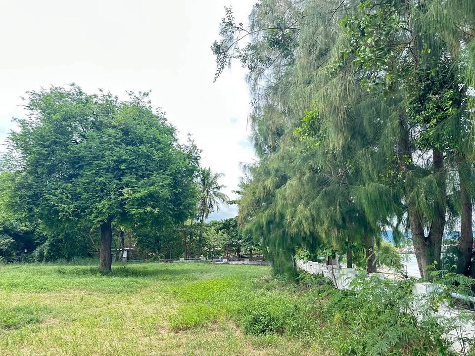 Prime Value Beachfront Land, Plai Laem