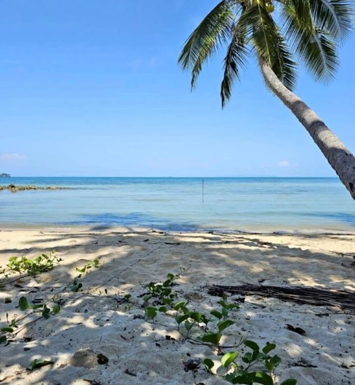 Paradise Beachfront Plot, Taling Ngam