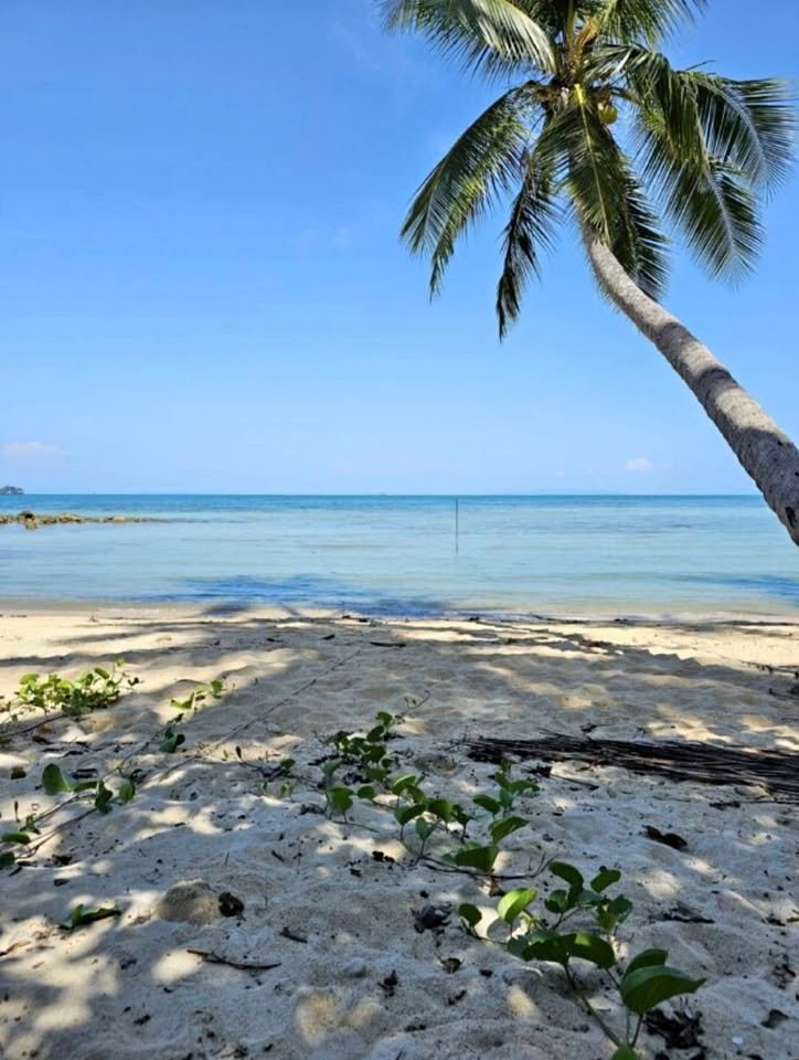 Paradise Beachfront Plot, Taling Ngam