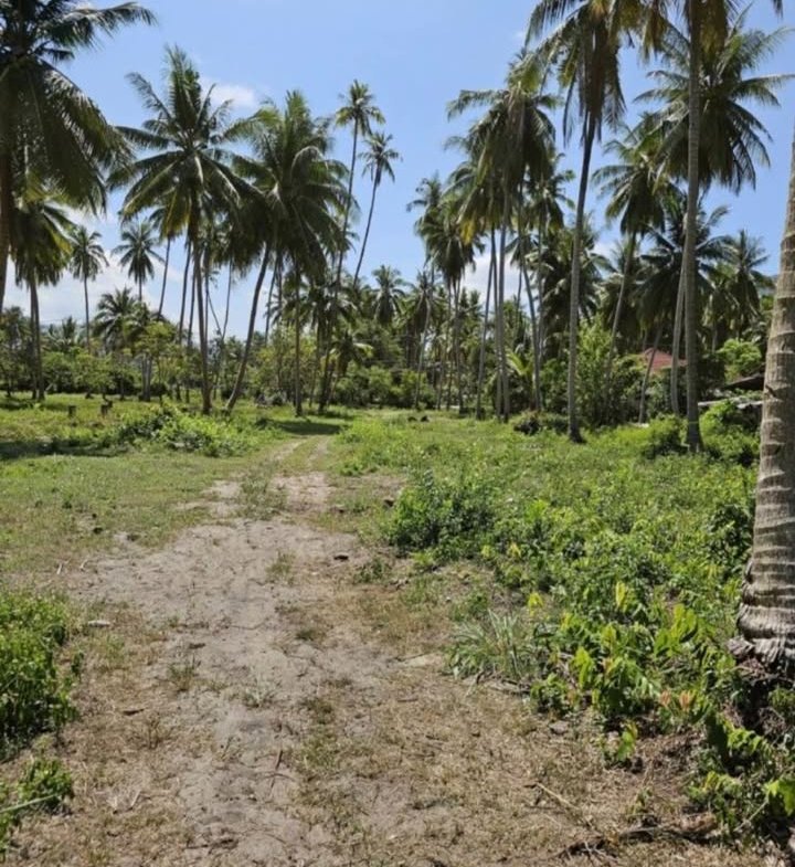 Paradise Beachfront Plot, Taling Ngam