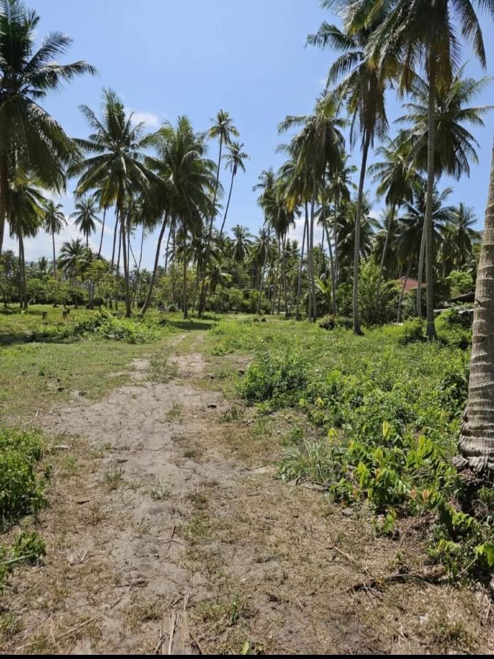 Paradise Beachfront Plot, Taling Ngam
