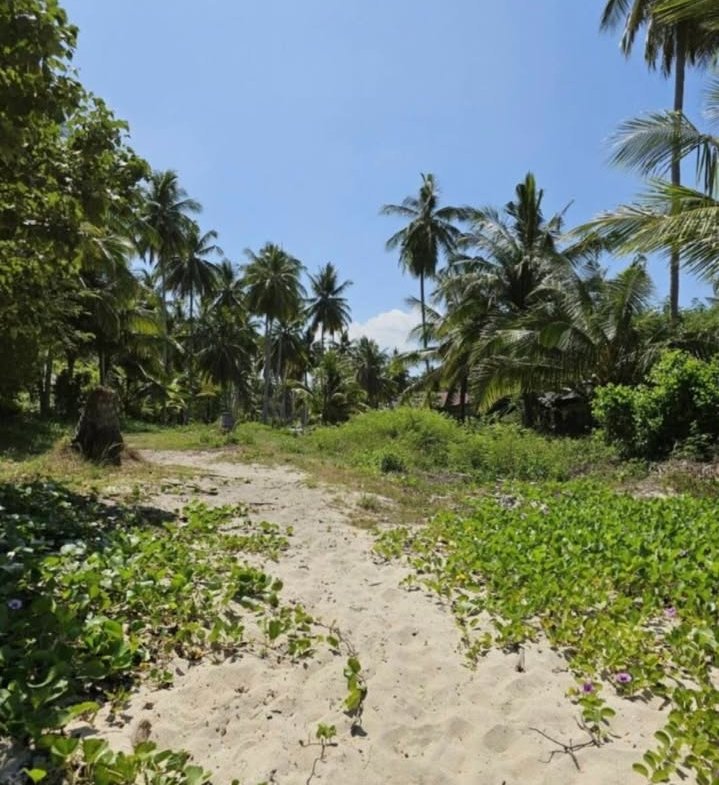 Paradise Beachfront Plot, Taling Ngam