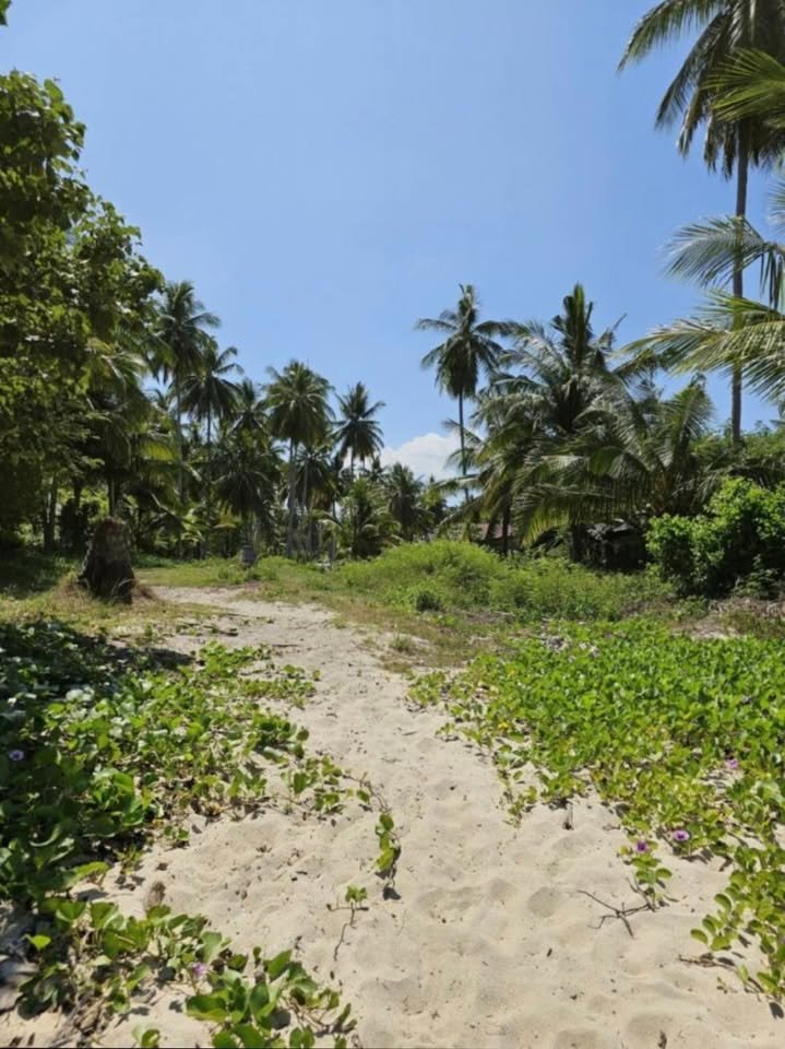 Paradise Beachfront Plot, Taling Ngam